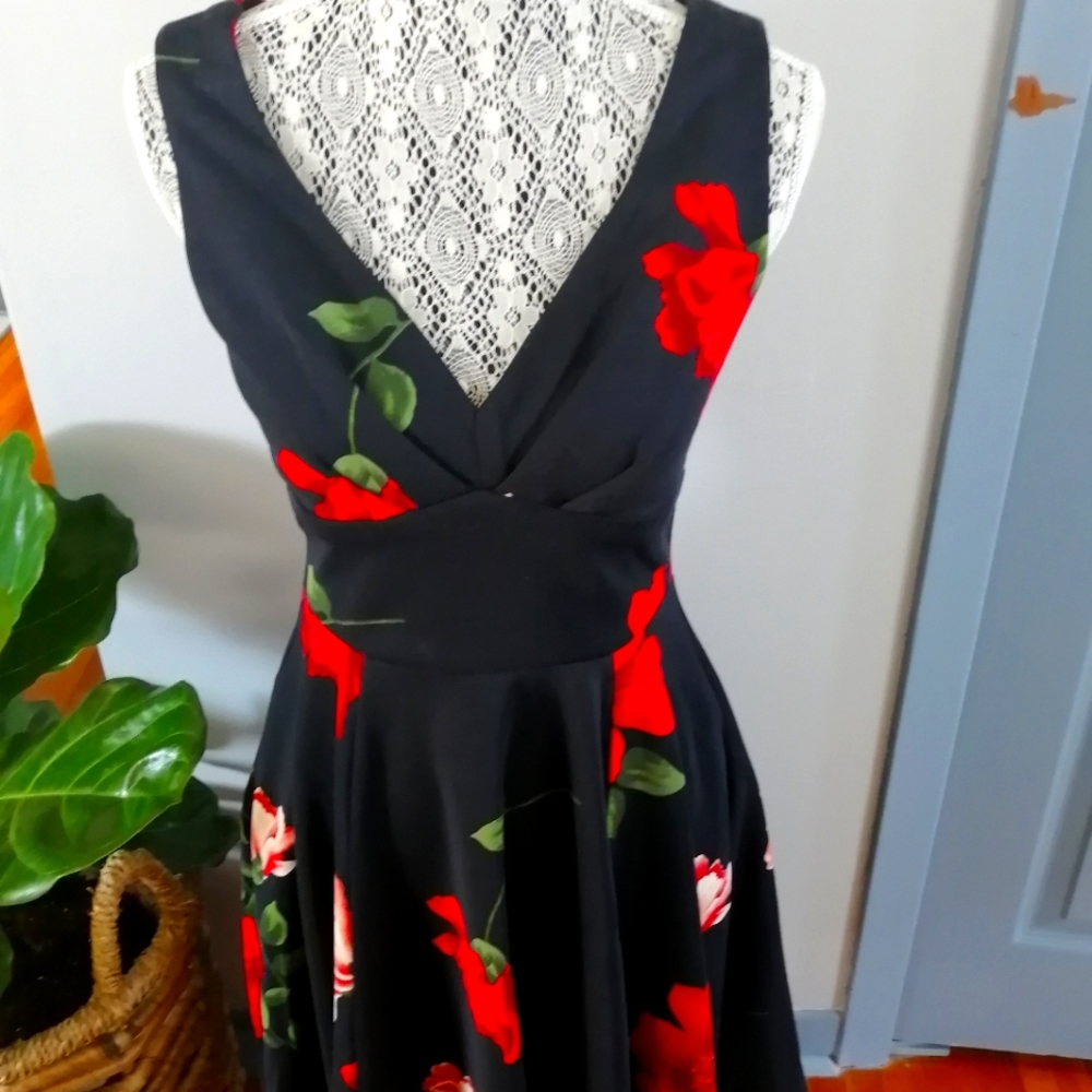 Eva Rose dress